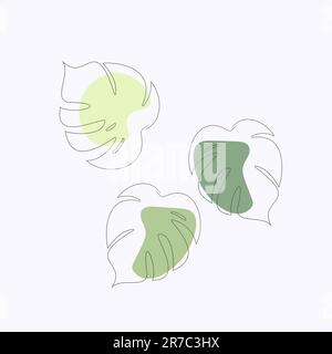 Monster hinterlässt einfache Linart-Stile, exquisites tropisches Blatt mit farbigen Flecken Stock Vektor