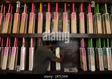 12. Juni 2023, Srinagar Kaschmir, Indien : Ein Arbeiter überprüft neu produzierte Fledermäuse in einer GR8-Cricket-Fledermaus-Produktionsanlage in Sangam, etwa 38 Kilometer südlich von Srinagar. Die Fledermaushersteller in Kaschmir haben einen Auftrag für die Verwendung von Fledermäusen während der One Day International (ODI) Weltmeisterschaft 2023 erhalten; noch früher hatten sie für die Weltmeisterschaft Twenty20 (T20) im Jahr 2022 10 Fledermäuse bestellt. Weltweit werden nur zwei Arten von Fledermäusen in Cricket verwendet - englische Willow und Kashmiri Willow - und während die Preise für englische Willow um ein Vielfaches höher sind als die von Kaschmir Willow und häufiger verwendet werden Stockfoto