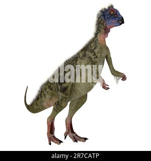Hypsilophodon war ein Allesfresser ornithopoden Dinosaurier, die in England während der Kreidezeit lebten. Stockfoto