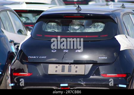 Nahaufnahme eines neu importierten chinesischen Aro Funky Cat Elektroautos, eines von über 250 ähnlichen Fahrzeugen, das in Southampton gelagert und auf den britischen Vertrieb wartet. Stockfoto