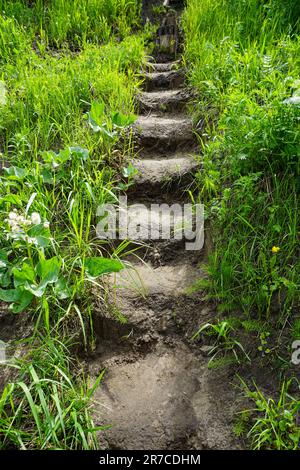 Eine Leiter aus Erde besteht aus grünem Gras. Hochwertiges Foto Stockfoto