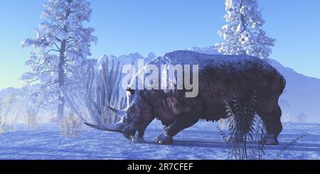 Ein Woolly Rhinoceros isst an einem Wintertag in Europa während der Ära des Pleistozän eine Pflanze. Stockfoto