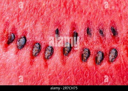 Frisch geschnittene rote süße Wassermelone aus der Nahaufnahme. Frische Sommerfrüchte abstrakter Hintergrund. Stockfoto