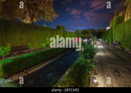 Generalife Gärten der Alhambra bei Nacht - Granada, Andalusien, Spanien Stockfoto