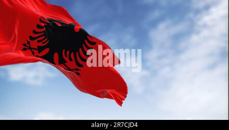 Albanische Nationalflagge, die an klaren Tagen im Wind wehte. Rote Flagge mit schwarzem zweiköpfigen Adler. Rendern der 3D-Darstellung. Selektiver Fokus. Flattern fa Stockfoto