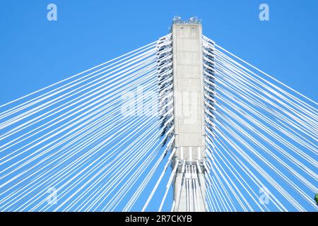 Blick auf Port Mann, der an einem sonnigen Wintertag den Fraser River überquert. Aufgenommen in Surrey, Vancouver, British Columbia, Kanada. Hochwertige 4K-Aufnahmen Stockfoto