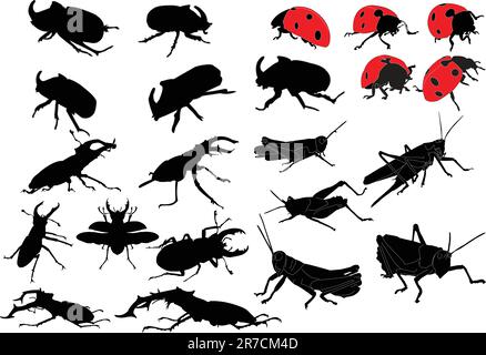 Insektensammlung - Vektor Stock Vektor