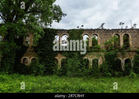 Alte Ruinen eines historischen Gebäudes, die von Vegetation überwuchert wurden. Stockfoto
