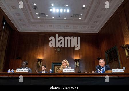 Washington, Usa. 14. Juni 2023. Donald K. Sherman, Executive Vice President, Citizens for Responsibility & Ethics in Washington, Jennifer Mascott, Assistant Professor of Law, und James J. Sample, Professor of Law, sprechen vor dem Senatsunterausschuss für Gerichtswesen, Aufsicht, Und Federal Rights Hearings zur Prüfung des Verhaltenskodex für Richter des Obersten Gerichtshofs der Vereinigten Staaten. Am Capitol Hill in Washington, DC am Mittwoch, den 14. Juni 2023. Foto: Ken Cedeno/UPI Credit: UPI/Alamy Live News Stockfoto