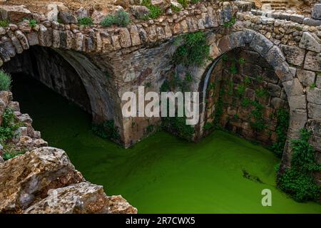 DAS GROSSE RESERVOIR NIMROD CASTLE (1228-1230) NIMROD FESTUNG NATIONALPARK GOLAN ISRAEL Stockfoto