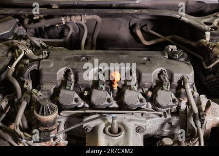 Detail Motor, Honda Accord Motorraum Stockfoto