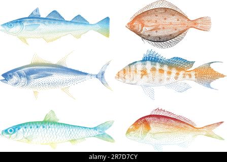 Satz von Meer Fische, Vektor-illustration Stock Vektor