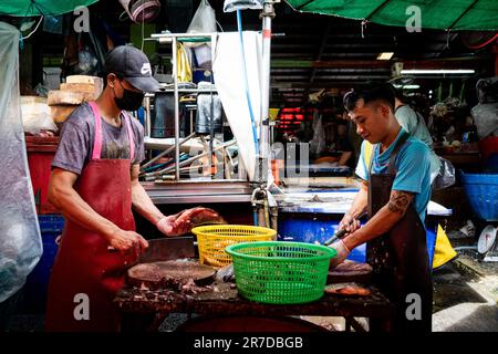 Bangkok, Thailand. 15. Juni 2023. Verkäufer schlachten frischen Fisch auf dem Khlong Toey Wet Market. Das tägliche Leben in Bangkok, Thailand, hat sich die Wirtschaft erholt, wobei das Finanzministerium eine wirtschaftliche Expansion von 2,6 % im letzten Jahr und von 3,6 % in diesem Jahr ausgeht, wobei der internationale Tourismus ein Schlüsselfaktor für die wirtschaftliche Erholung nach der COVID-19-Pandemie ist. Kredit: Matt Hunt/Neato/Alamy Live News Stockfoto