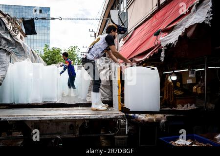 Bangkok, Thailand. 15. Juni 2023. Die Arbeiter transportieren Eis auf dem Khlong Toey Wet Market. Das tägliche Leben in Bangkok, Thailand, hat sich die Wirtschaft erholt, wobei das Finanzministerium eine wirtschaftliche Expansion von 2,6 % im letzten Jahr und von 3,6 % in diesem Jahr ausgeht, wobei der internationale Tourismus ein Schlüsselfaktor für die wirtschaftliche Erholung nach der COVID-19-Pandemie ist. Kredit: Matt Hunt/Neato/Alamy Live News Stockfoto