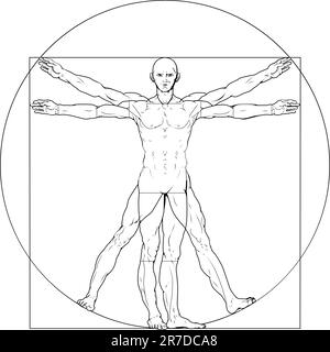 Abbildung basierend auf Leonardo da Vincis klassische Vitruvian Mann Stock Vektor