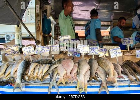 Rio de Janeiro, Brasilien - 25. Mai 2023: An einem Fischstand im Copacabana District wird eine Auswahl an frischem Fisch mit Preisschildern präsentiert. Drei Männer arbeiten im Gefängnis Stockfoto