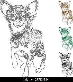Ein Bild von einem Chihuahua Hund zeichnen. Stock Vektor
