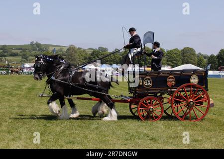 Royal Bath and West Show 2023, Bath and West Ausstellungsgelände, Somerset Stockfoto