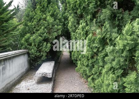 FUNCHAL, PORTUGAL - 24. AUGUST 2021: Dies ist eine der abgeschiedenen kleinen Gassen im Tropischen Garten von Monte. Stockfoto