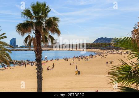 BARCELONA, SPANIEN - 16. MAI 2017: Dies sind moderne Sandstrände auf dem Gelände eines ehemaligen Industriegebiets im Bezirk Barceloneta. Stockfoto