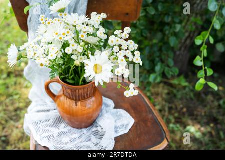 Sommeratmosphäre, einfache Einrichtung auf dem Land. Wunderschöne weiße Gänseblümchen auf einem alten Holzstuhl zusammen mit einer Serviette mit Spitze vor der Kulisse o Stockfoto