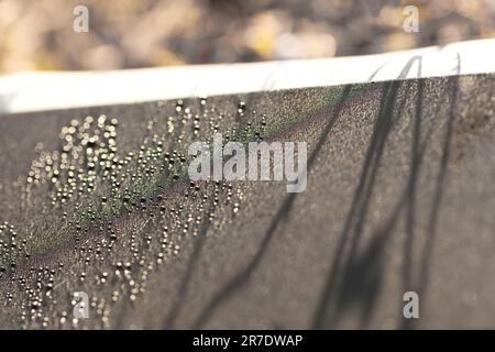 Unschärfe-Effekt auf glitzerndem Wasser. Copy Space Foto von wunderschöner verschwommener Blasenstruktur, abstraktem Wasser-Bokeh-Hintergrund, Licht und Schatten. Stockfoto