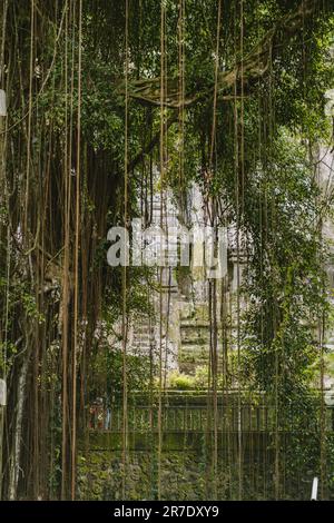 Pura Gunung Kawi Tempel. Beeindruckende Balinies Mount kawi Attraktion, felsiger Tempel in ubud Stockfoto