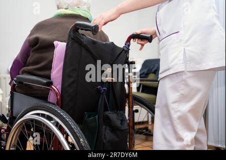 Junge Frau Arzt unterstützen ältere Frau Patientin mit Behinderung Sitzen im Rollstuhl, weibliche Pflegekraft oder Krankenschwester kümmern sich um ältere behinderte Oma, ältere Gesundheitskonzept hohe Qualität Foto Stockfoto