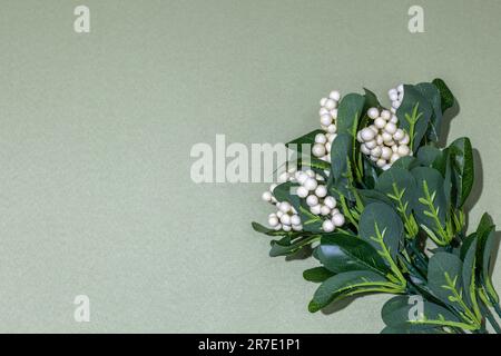 Blumen isoliert, um eine Postkarte und Ihre Ideen zu kreieren Stockfoto