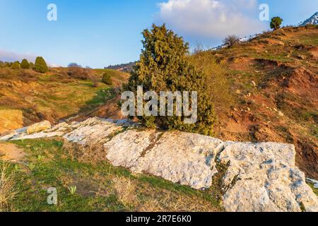 Wunderschöner amerikanischer Landschaftsmotiv-Hintergrund Stockfoto