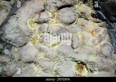 Kissen-Lavas sind Lavas, die unter Wasser in einer subwässrigen Extrusion gebildet werden. Dieses Foto wurde in El Barranco de las Angustias, Caldera de Taburiente Natio aufgenommen Stockfoto