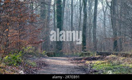 Wunderschöne Landschaft rund um Dudelange in Luxemburg Stockfoto