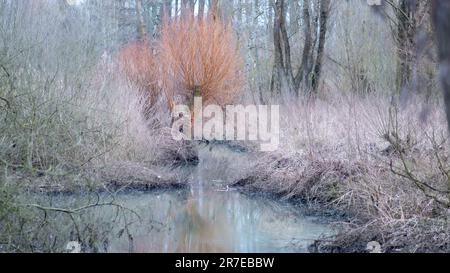 Wunderschöne Landschaft rund um Dudelange in Luxemburg Stockfoto