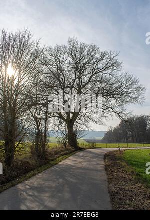 Wunderschöne Landschaft rund um Dudelange in Luxemburg Stockfoto