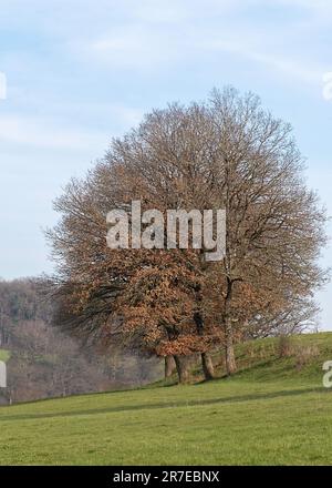 Wunderschöne Landschaft rund um Dudelange in Luxemburg Stockfoto