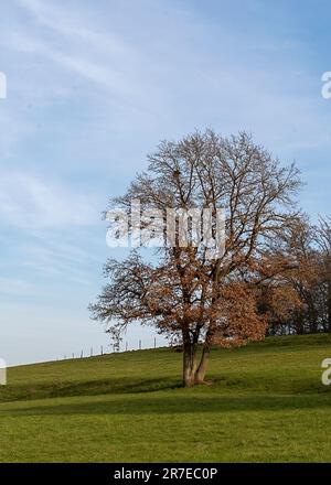 Wunderschöne Landschaft rund um Dudelange in Luxemburg Stockfoto