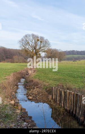 Wunderschöne Landschaft rund um Dudelange in Luxemburg Stockfoto