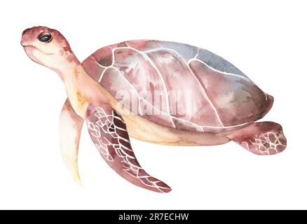 Realistische Meeresschildkröten-Illustration in Aquarell. Bild von Meerestieren, die in der Unterwasserwelt schwimmen. Amphibienreptil, isoliert auf weiß Stockfoto
