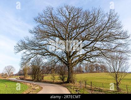 Wunderschöne Landschaft rund um Dudelange in Luxemburg Stockfoto