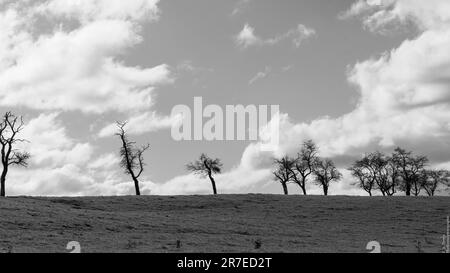 Wunderschöne Landschaft rund um Dudelange in Luxemburg Stockfoto