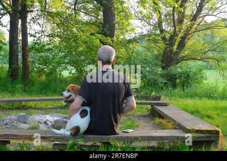 Ein Mann und sein Hund sitzen auf einer Bank in der Natur. Konzept von Hingabe und Loyalität des Hundes. Stockfoto