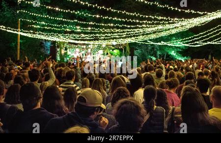 Menschen, die tanzen und Hände heben, bei einem Musikfestival in der Natur in der Sommernacht Stockfoto