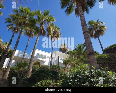 Haus umgeben von Palmen. Marbella, Costa del Sol, Südspanien. Stockfoto