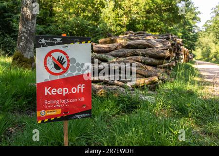 Warnschild „Keep off Rolling logs can kill“ im New Forest National Park, Hampshire, England, Großbritannien Stockfoto