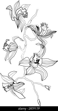 Orchideenverzweigungsvektor auf weißem Hintergrund Stock Vektor