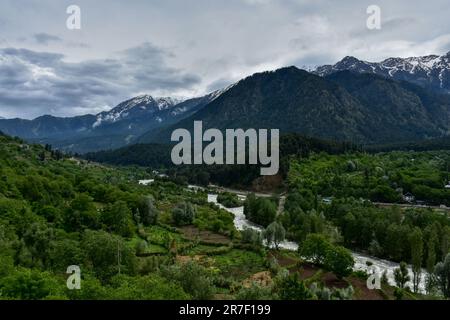 Pahalgam, Indien. 15. Juni 2023. Der Fluss Lidder fließt durch das Aru-Tal in Pahalgam, einem berühmten Touristenziel, etwa 120kms km südlich von Srinagar, der Sommerhauptstadt von Jammu und Kaschmir. Kredit: SOPA Images Limited/Alamy Live News Stockfoto