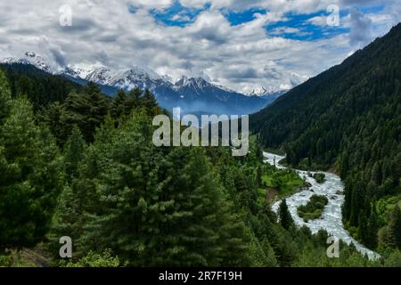 Pahalgam, Indien. 15. Juni 2023. Der Fluss Lidder fließt durch das Aru-Tal in Pahalgam, einem berühmten Touristenziel, etwa 120kms km südlich von Srinagar, der Sommerhauptstadt von Jammu und Kaschmir. Kredit: SOPA Images Limited/Alamy Live News Stockfoto