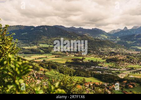 Sommerlandschaft, Kanton Vaud, Schweiz Stockfoto