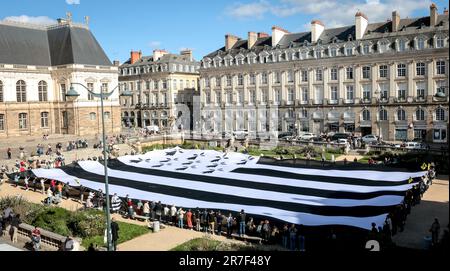 Rennes (Bretagne, Nordwestfrankreich), 8. Oktober 2022: Einsatz des weltweit größten "Gwenn Ha Du" (bretonische Flagge) am "Place du Parlement" Stockfoto