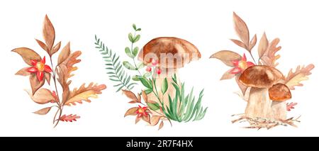 Eine Reihe von Aquarellen, Waldbouquets, Kompositionen. Steinpilze, grüne Äste, Gras, rote Beeren, Eichenblätter, wildblumen. Botanisch, handgezeichnet Stockfoto